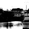 IMG 0455
