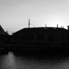 IMG 0463